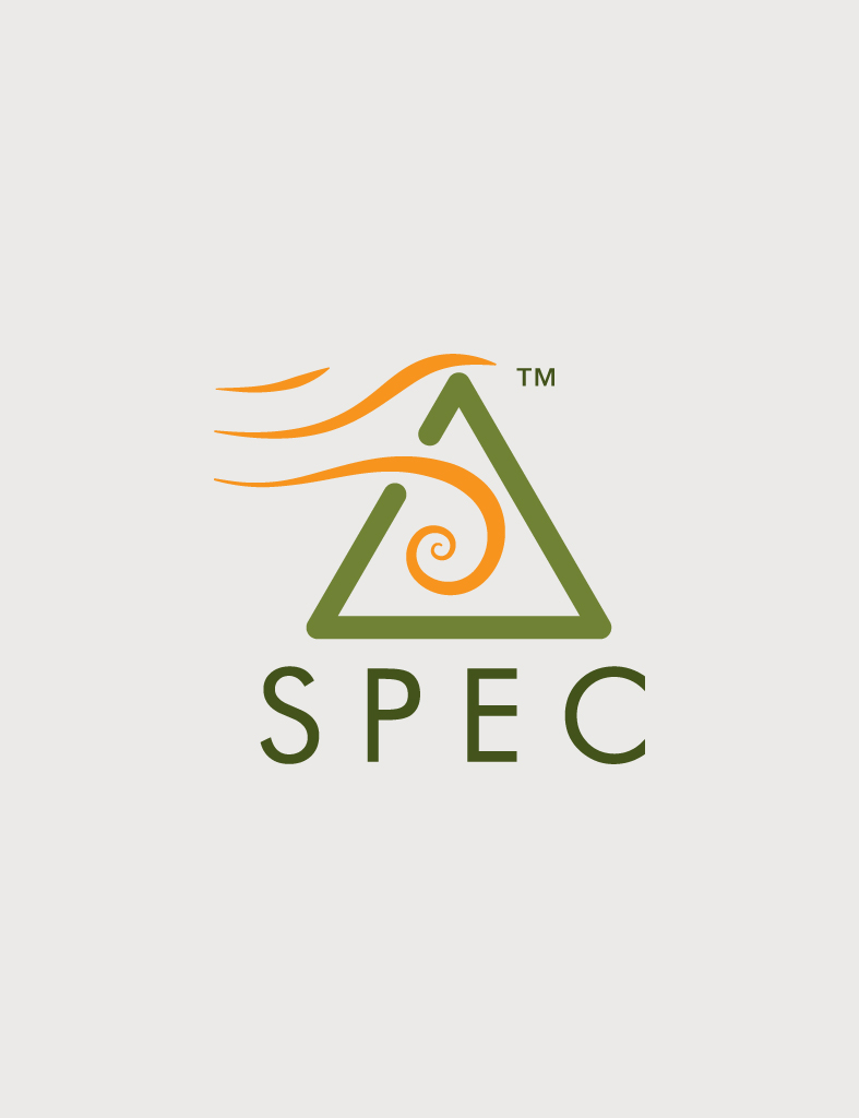 Projekt logo systemu SPEC